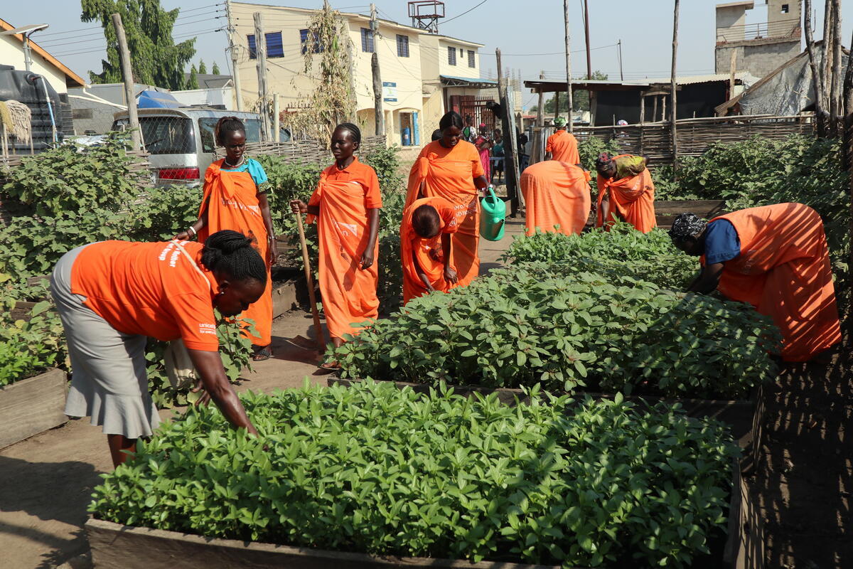 Group of ladies gardening