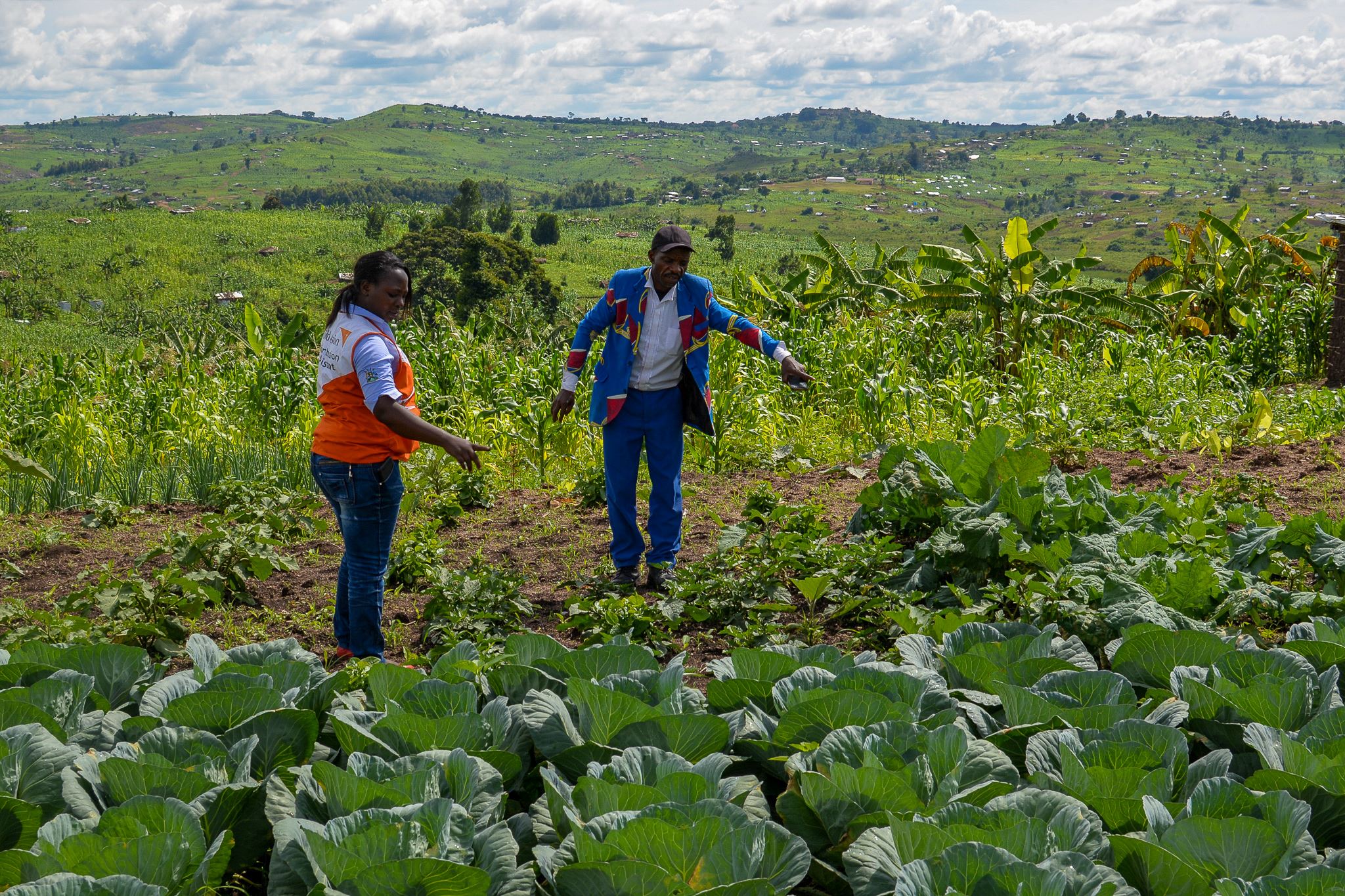 People walk across a thriving field in Uganda