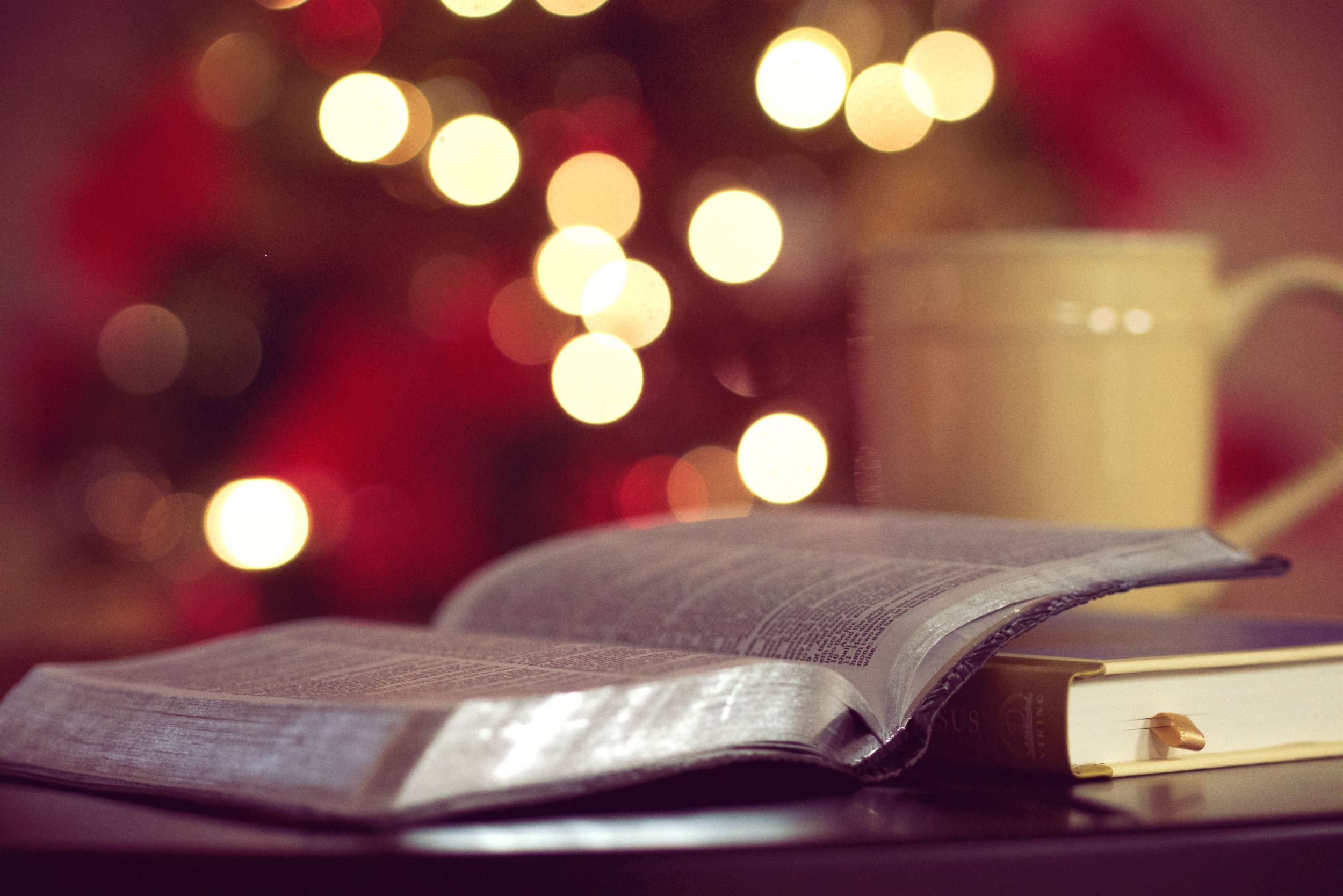 Bible and fairy lights