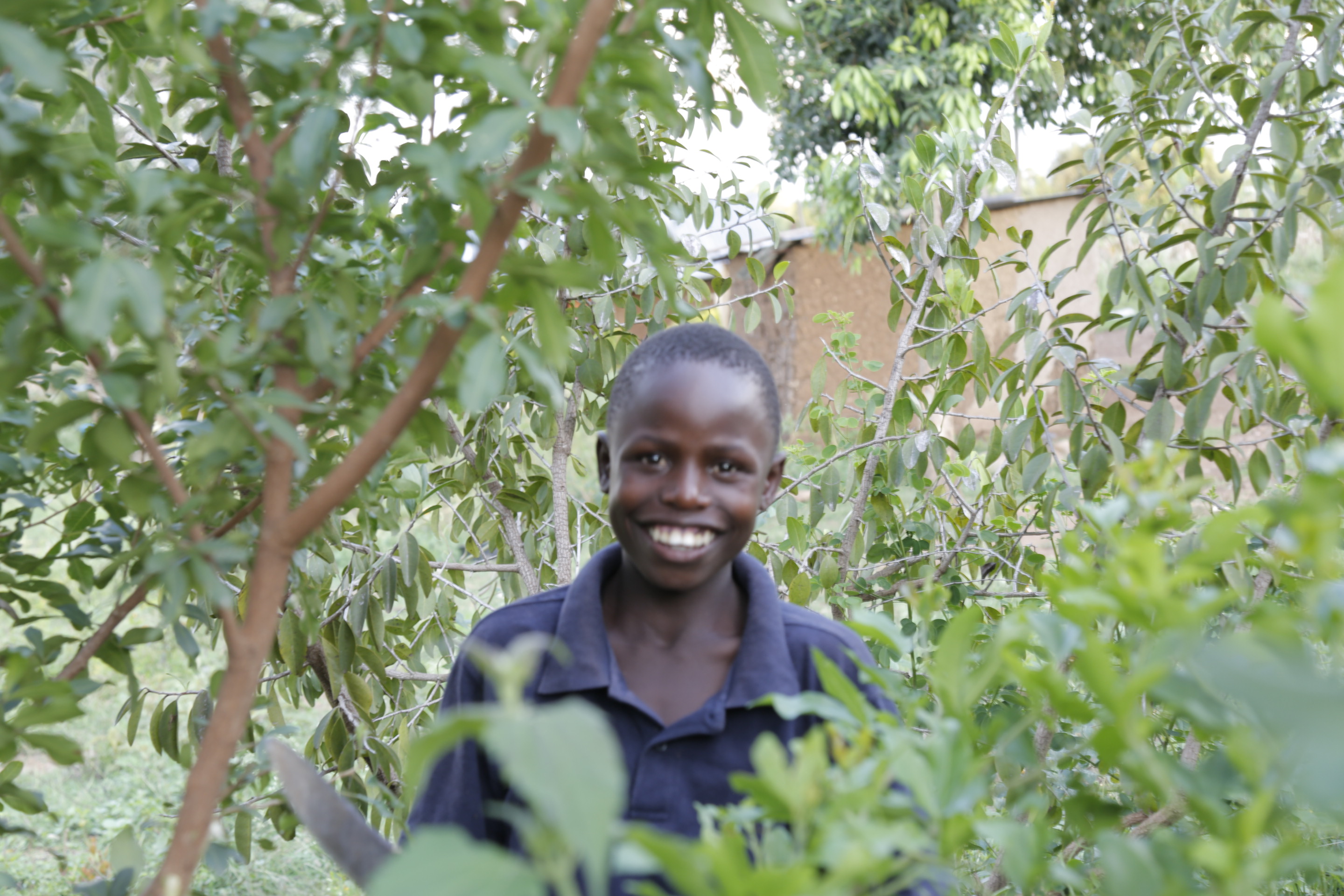 Kenyan boy pruning trees on his farm where he's helping climate change