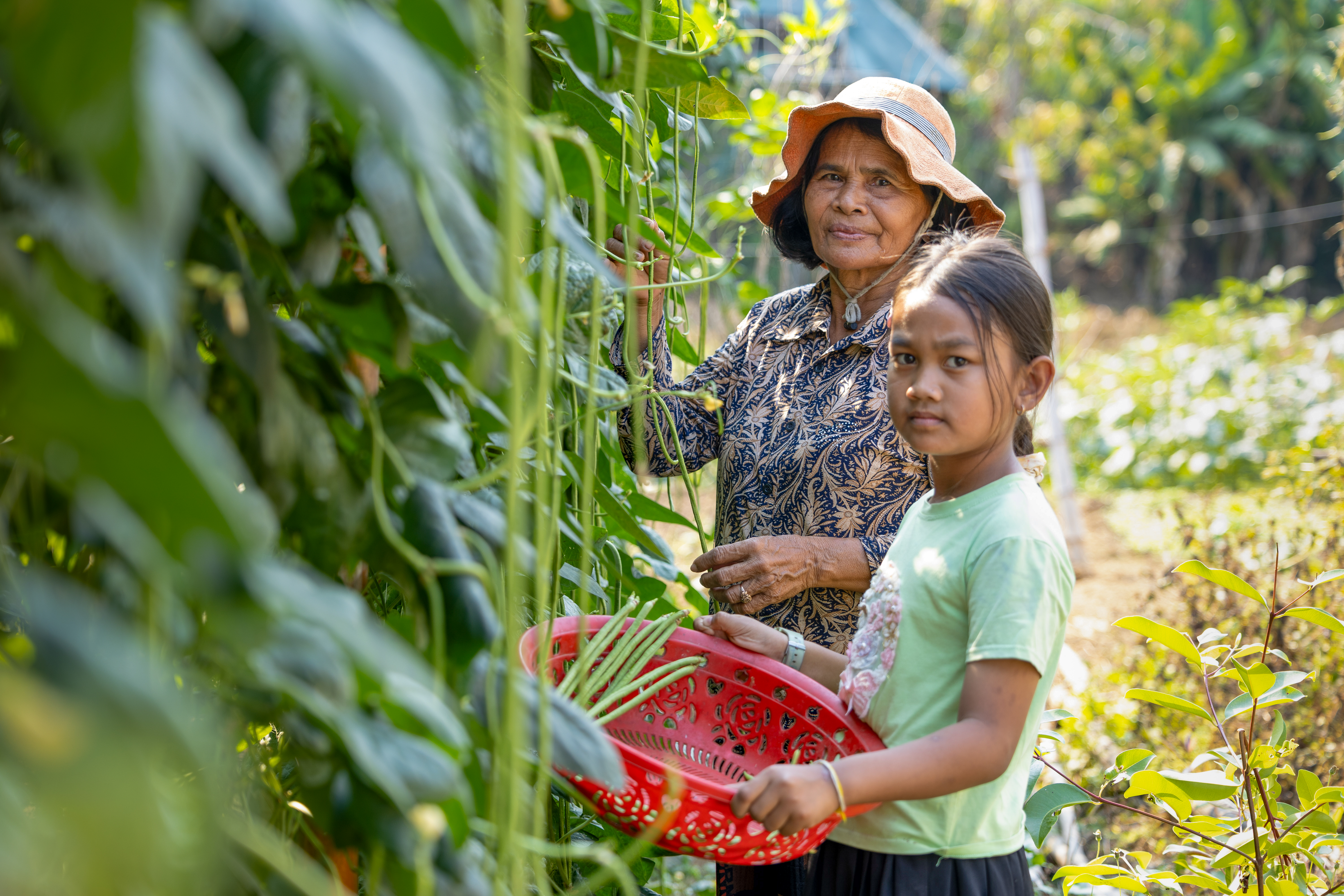 A young girl holds a red plastic bucket while her grandmother harvests from a tall trellis covered in green beans. They face the camera.